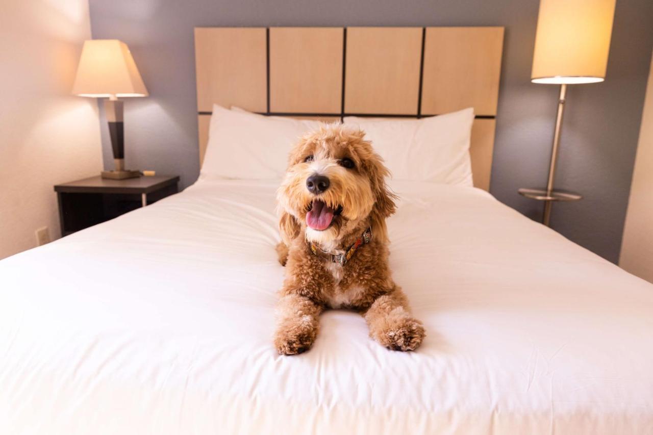 Sonesta Simply Suites Detroit トロイ エクステリア 写真